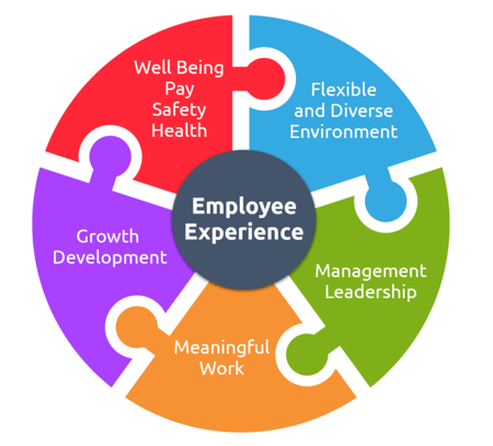 Employee Experience Drivers