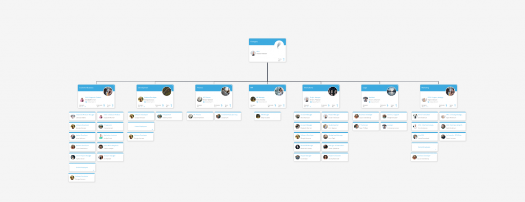 Organizational Chart